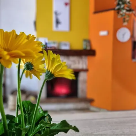 La Casina Di Sotto Apartment Castelnuovo di Garfagnana Exterior photo